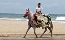 Costa Rica-Guanacaste-La Posada Beach Escape